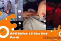 apk TikTok 18