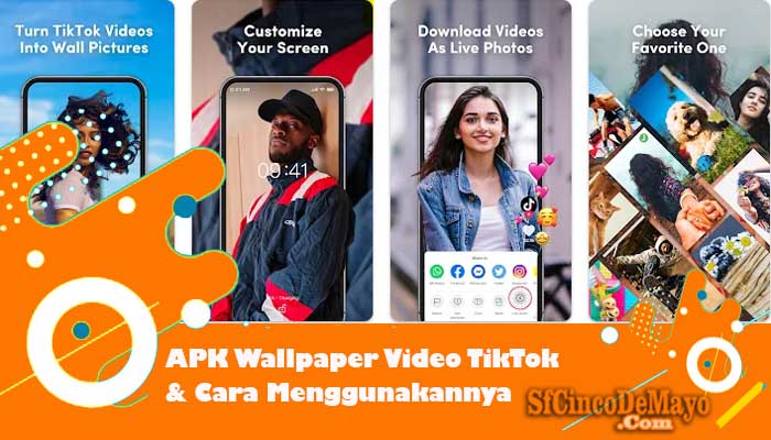 apk wallpaper video tiktok